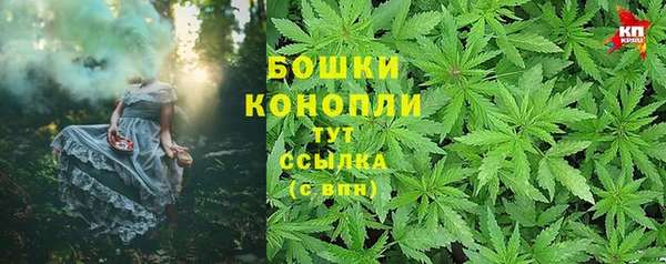 каннабис Аркадак