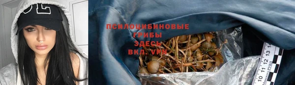 стаф Навашино