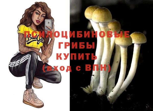 дживик Армянск