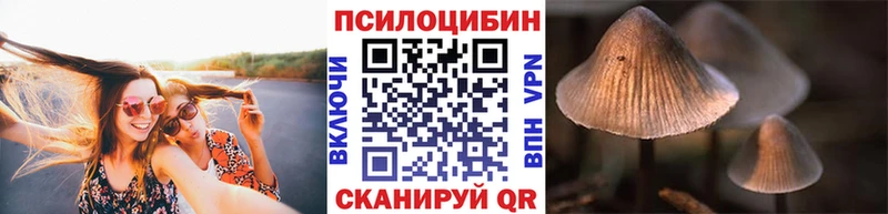 Галлюциногенные грибы Psilocybe  Салехард 
